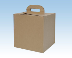 Caja pic-nic cartón