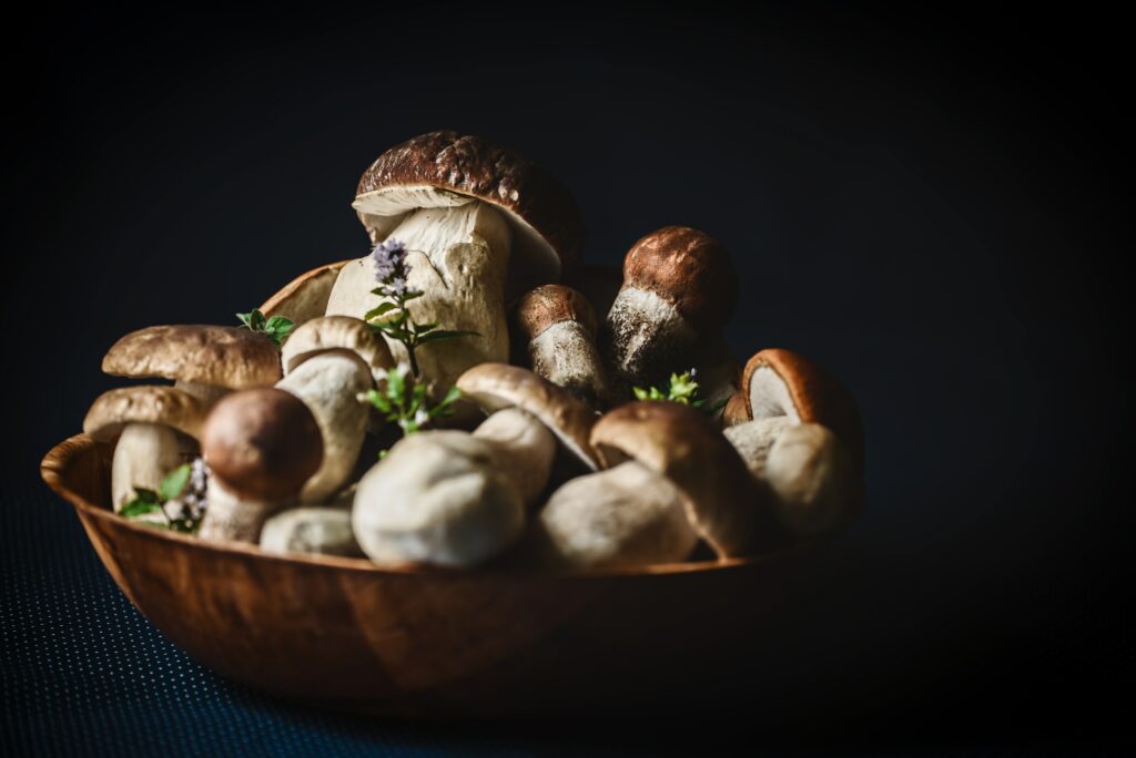 Recetas de otoño